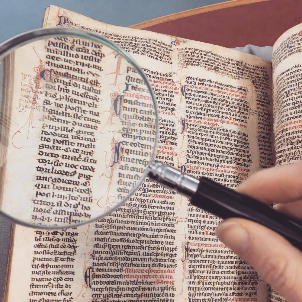 Słowa pod lupą - Obserwowanie z polubianiem