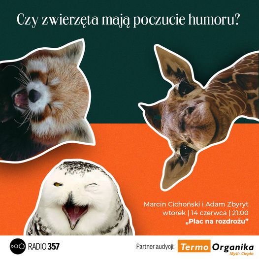 Plac na rozdrożu - Czy zwierzęta mają poczucie humoru?