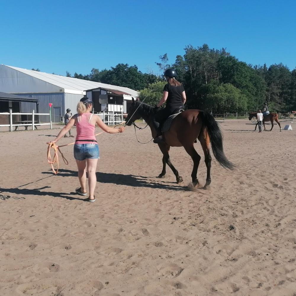 Reportaż - Ruszyć z kopyta