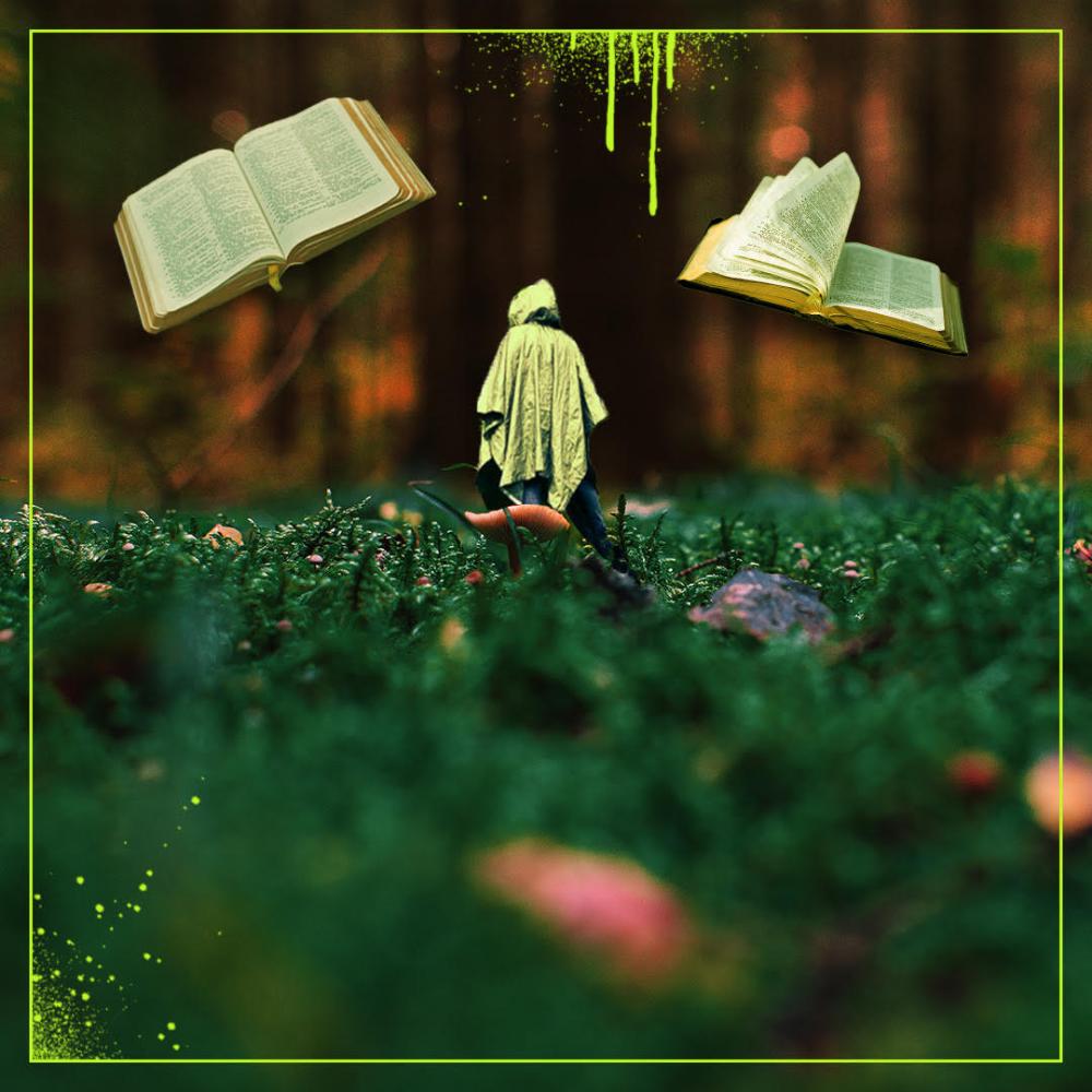 Bajki z Dobrą Energią - Las 357