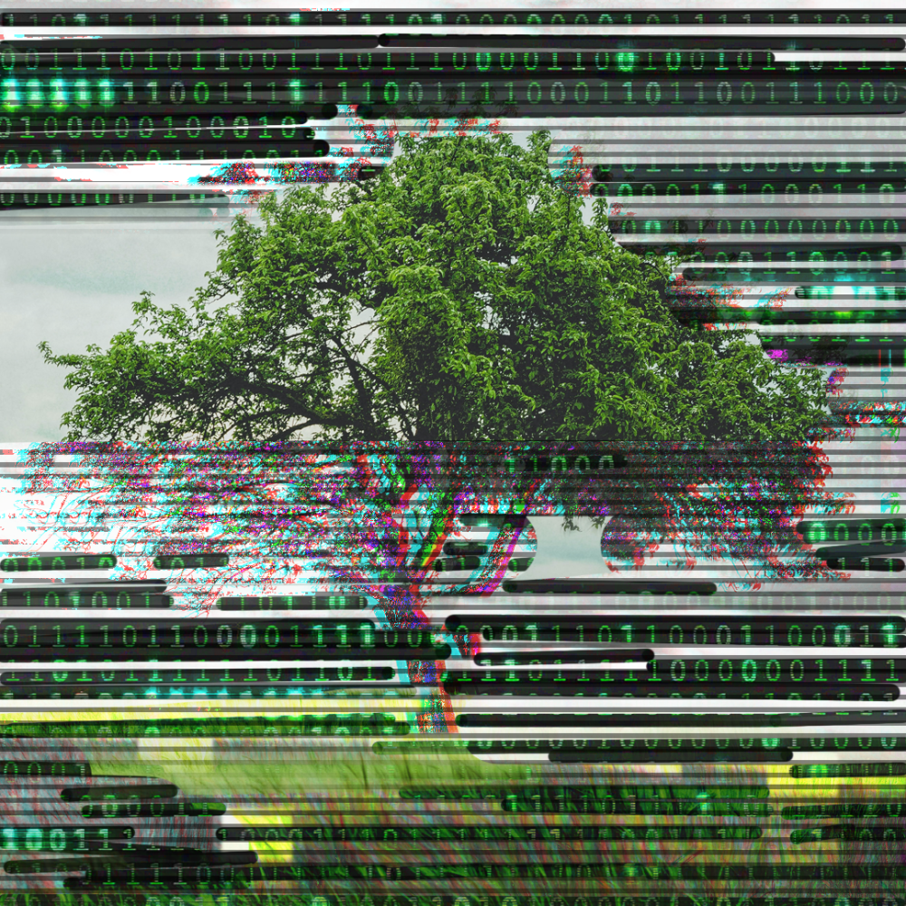 Jarosław Juszkiewicz