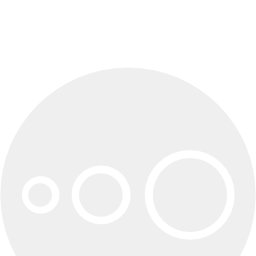 Dorośli nie mają wakacji