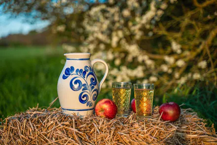 Śladami polskich soków, owoców i warzyw