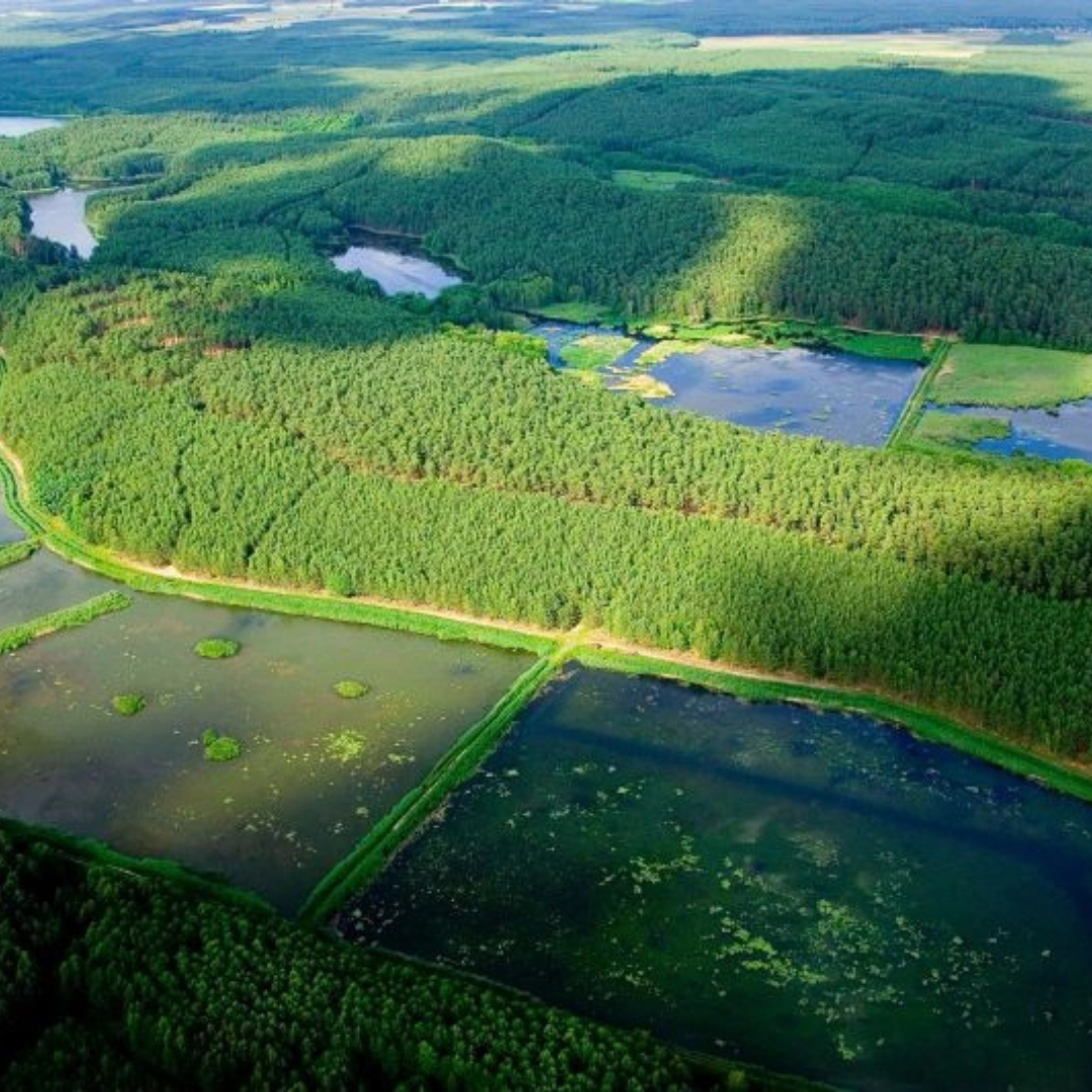 Lubuskie gra najpiękniej – odkryj region, do którego dolecisz szybciej niż myślisz