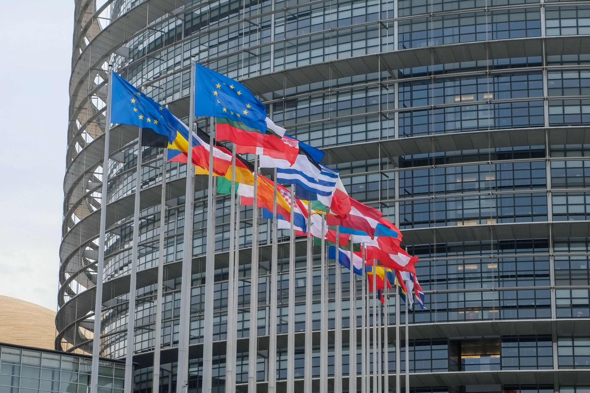 Umowa Unii Europejskiej z Mercosur. Polskie rolnictwo może przegrać, będą protesty