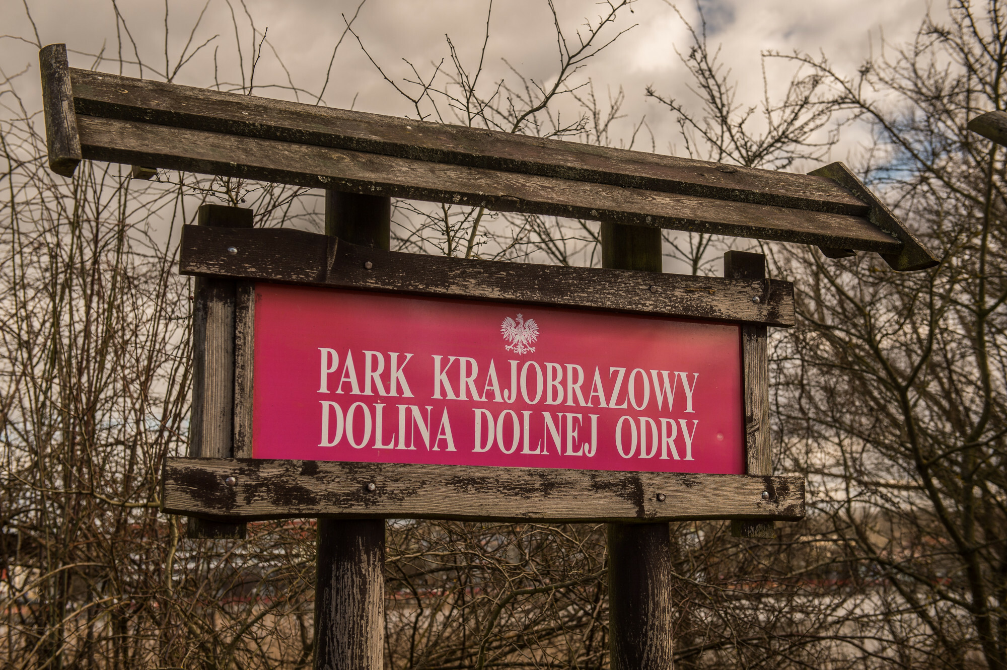 Park Narodowy Doliny Dolnej Odry w rękach prezydenta. Czy Nawrocki podpisze ustawę?