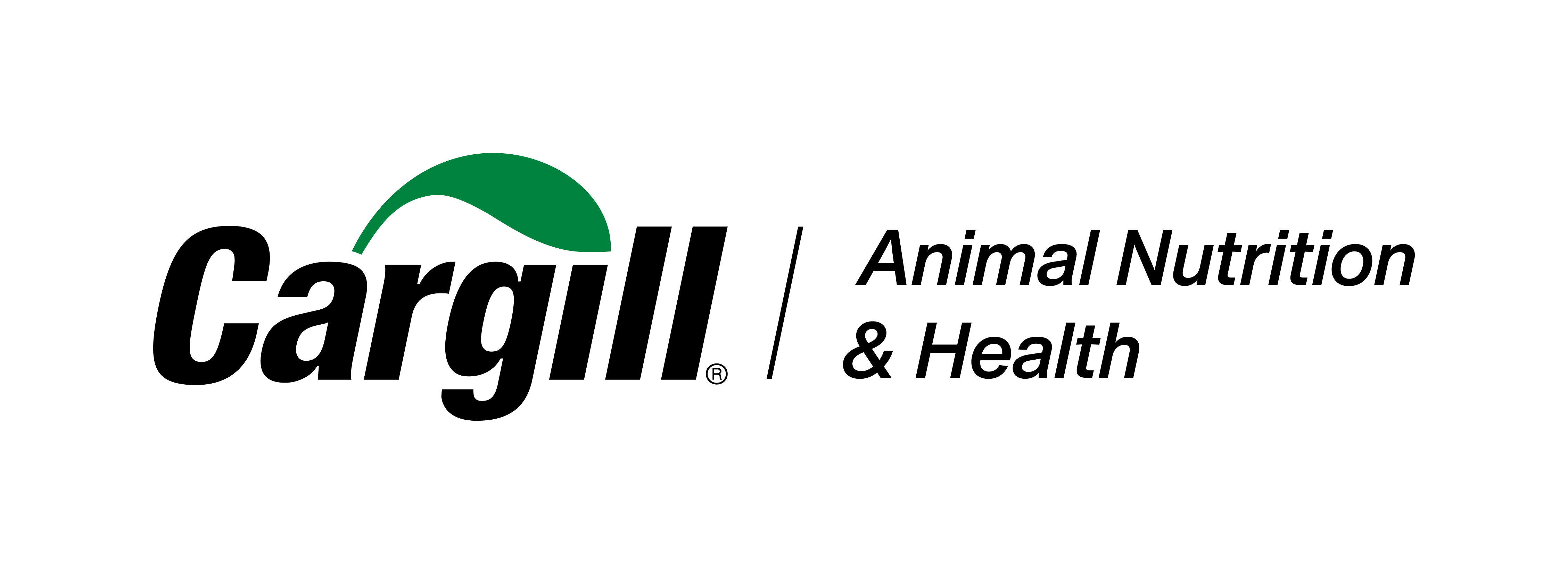 Partner audycji