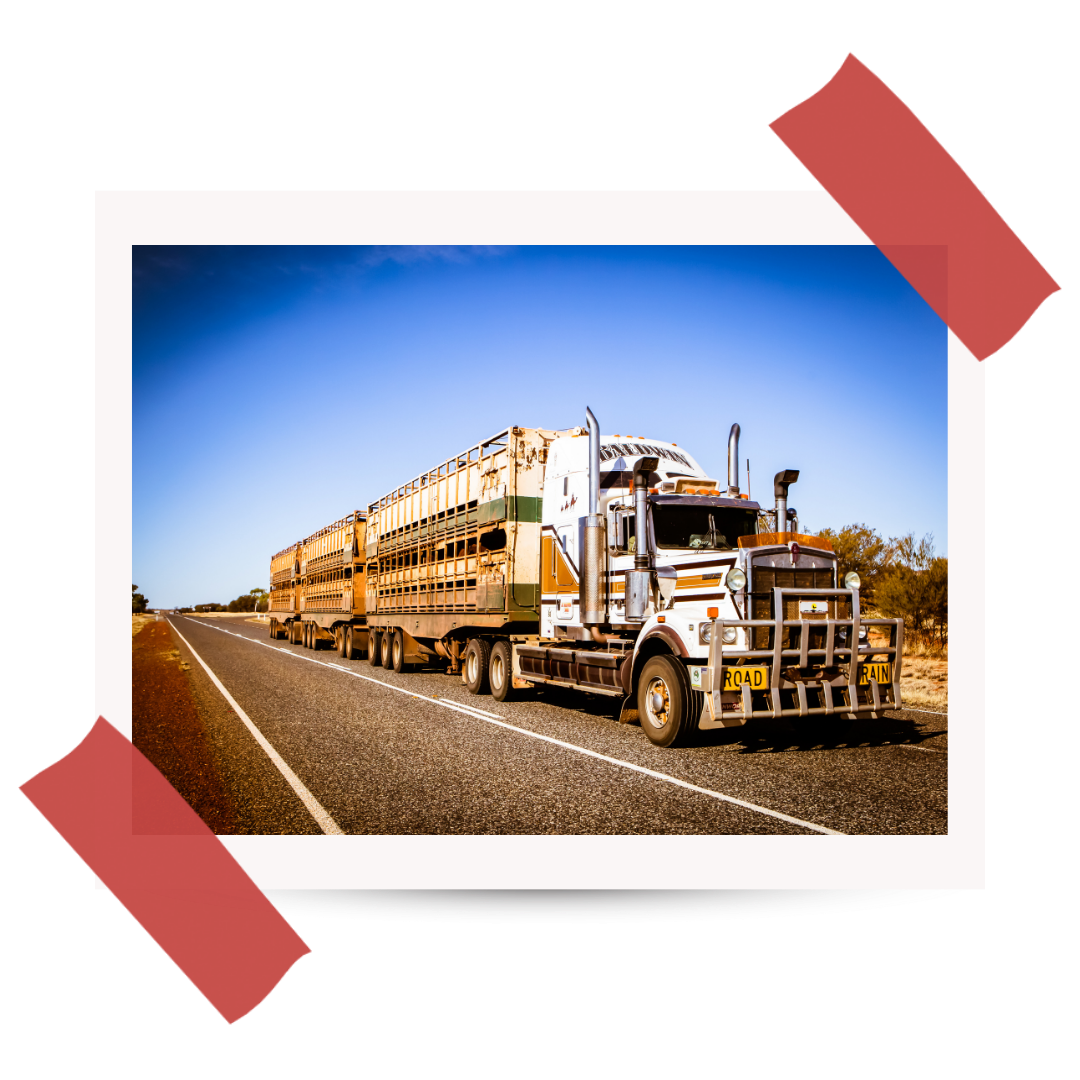Wyprawa do Australii - #41 Road Train