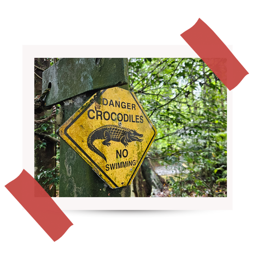 Wyprawa do Australii - #5 Jurassic Park