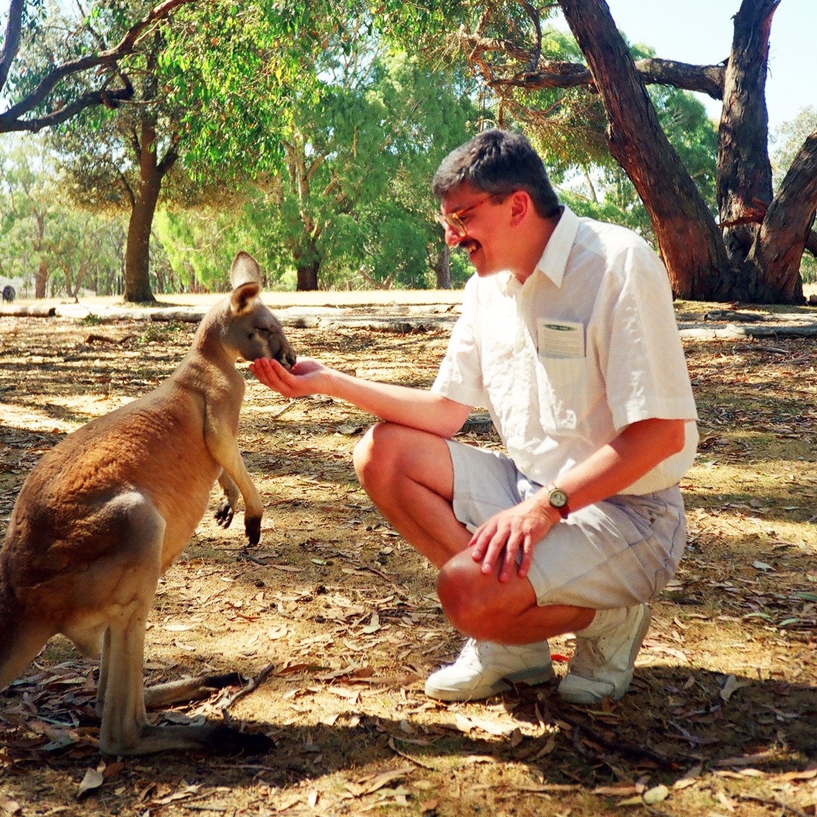 Kieruj się na południe - Zaprasza Marek Niedźwiecki