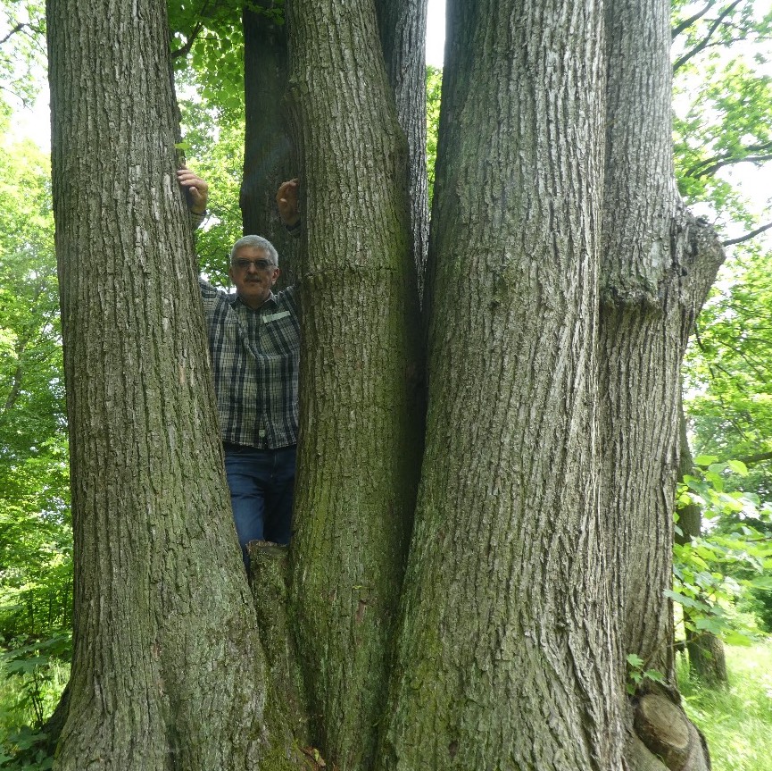Kieruj się na południe - Zaprasza Marek Niedźwiecki