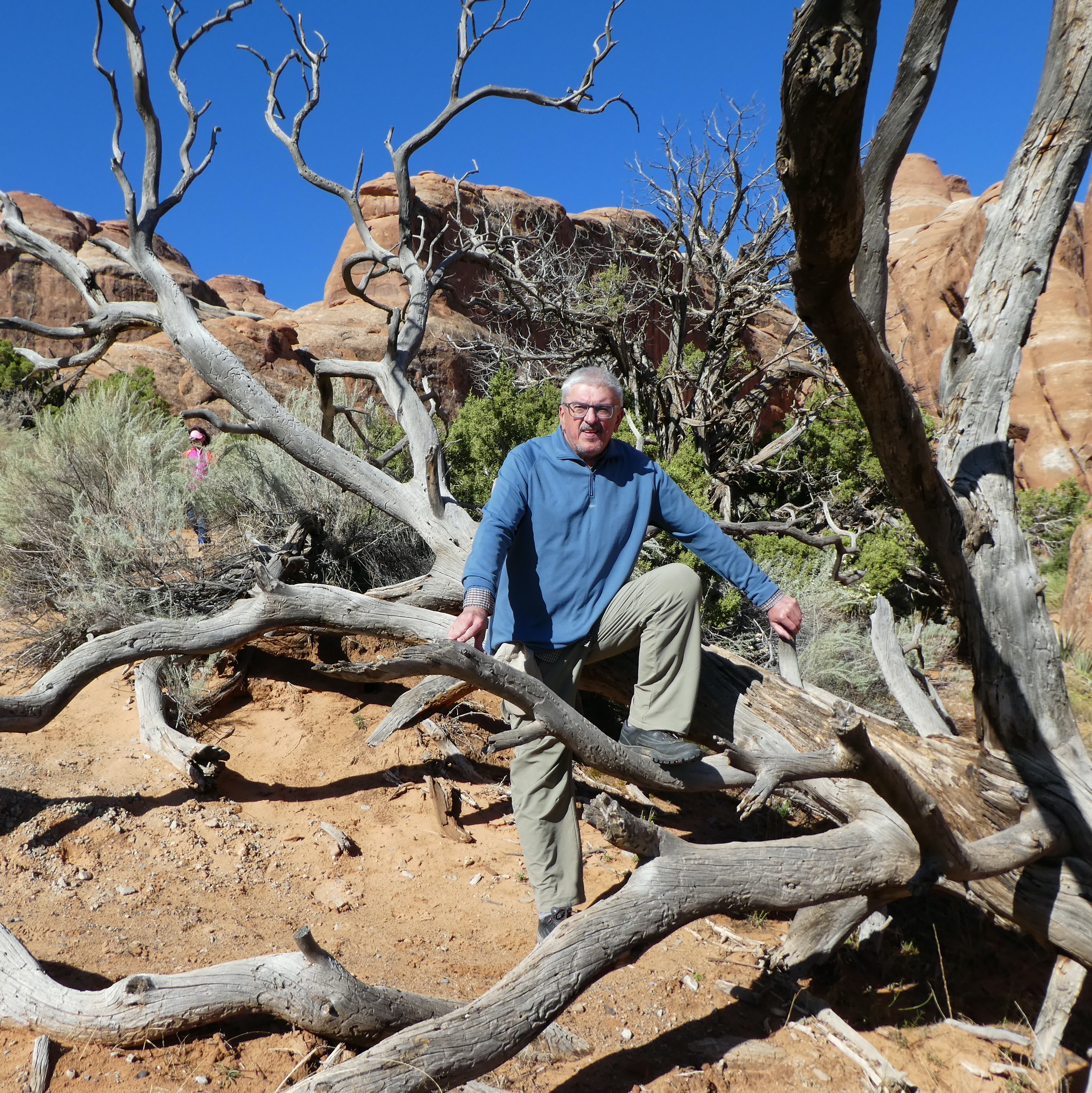 Kieruj się na południe - Zaprasza Marek Niedźwiecki
