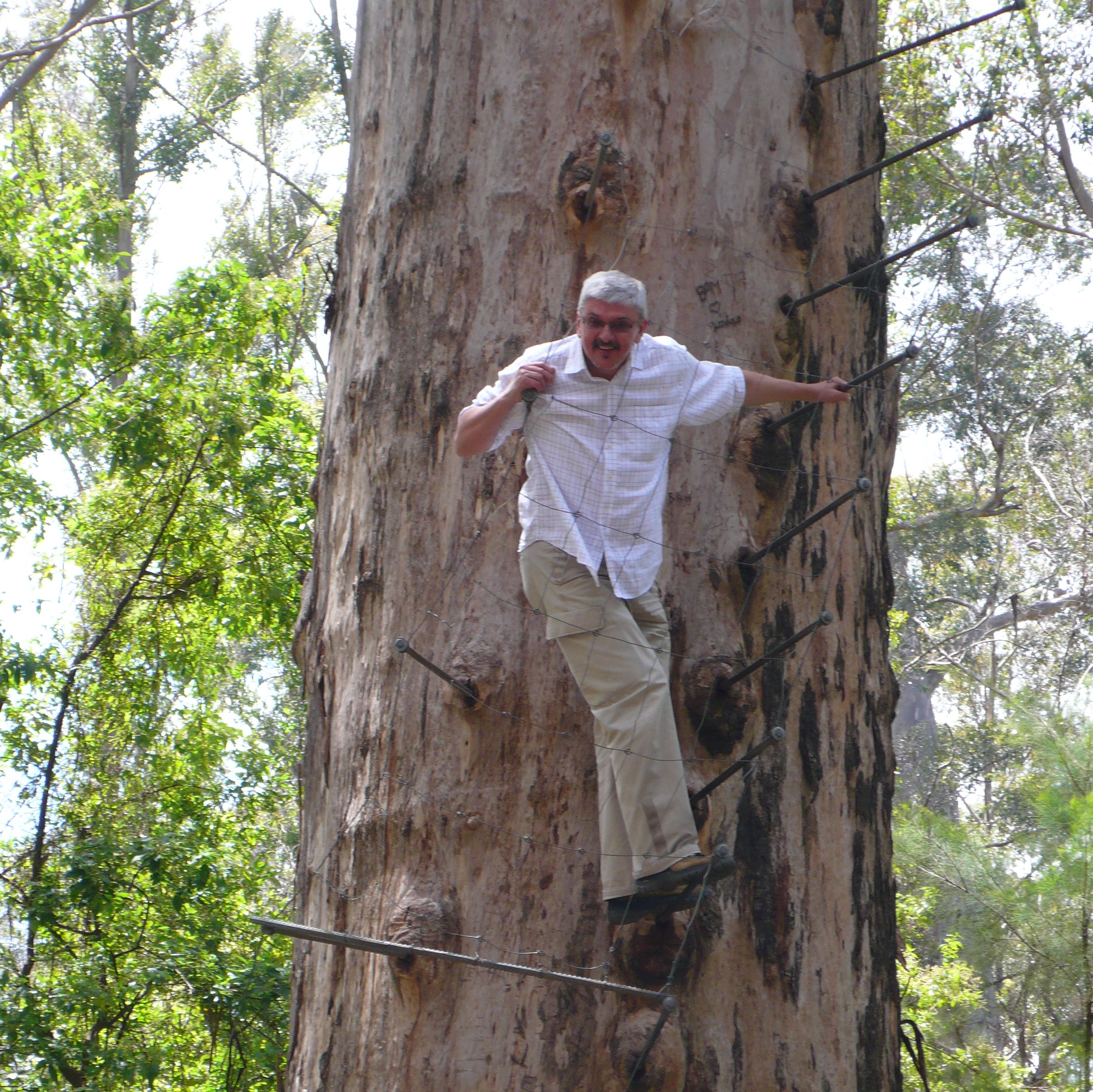 Kieruj się na południe - Zaprasza Marek Niedźwiecki