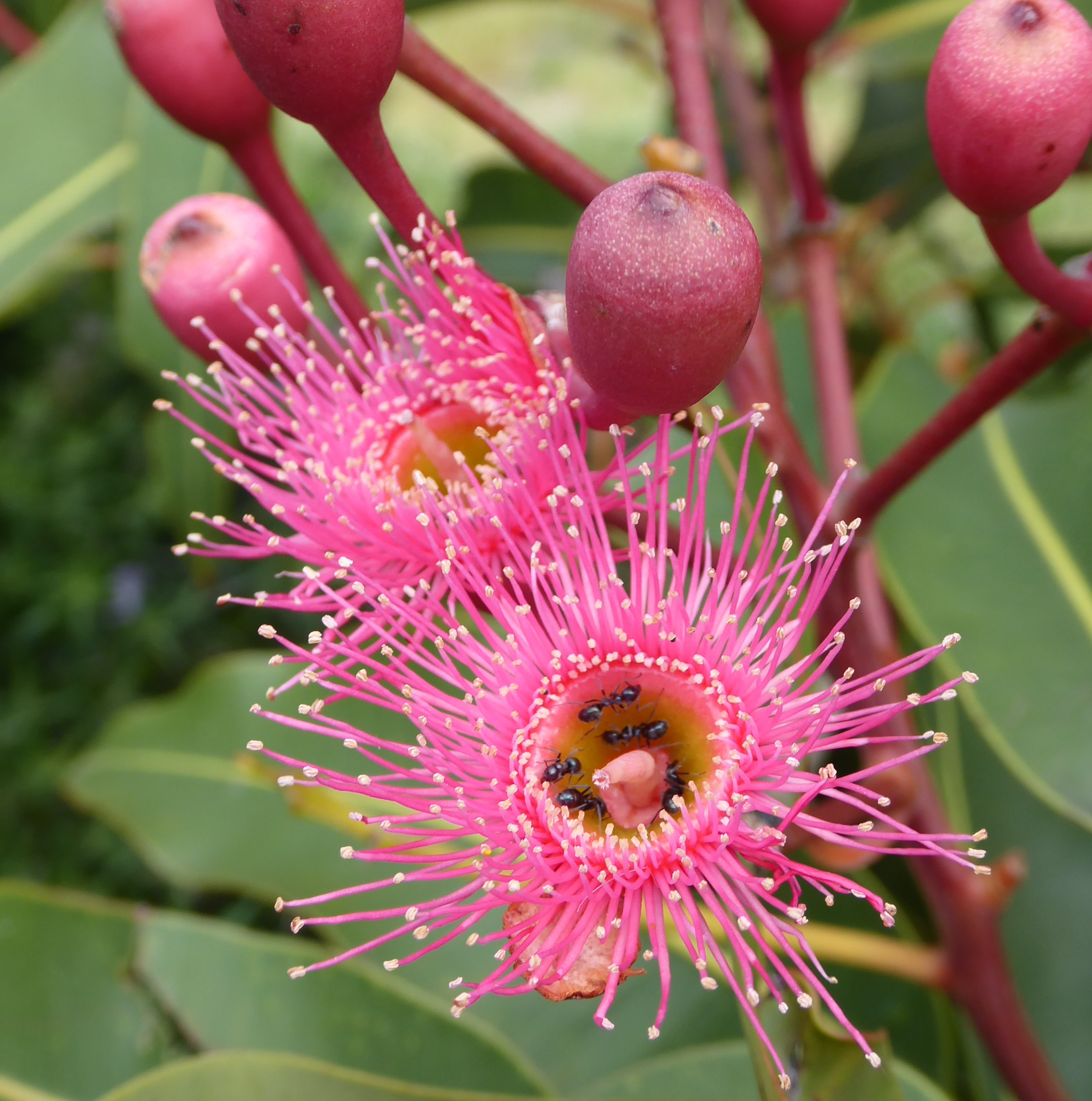 Kieruj się na południe - Zaprasza Marek Niedźwiecki