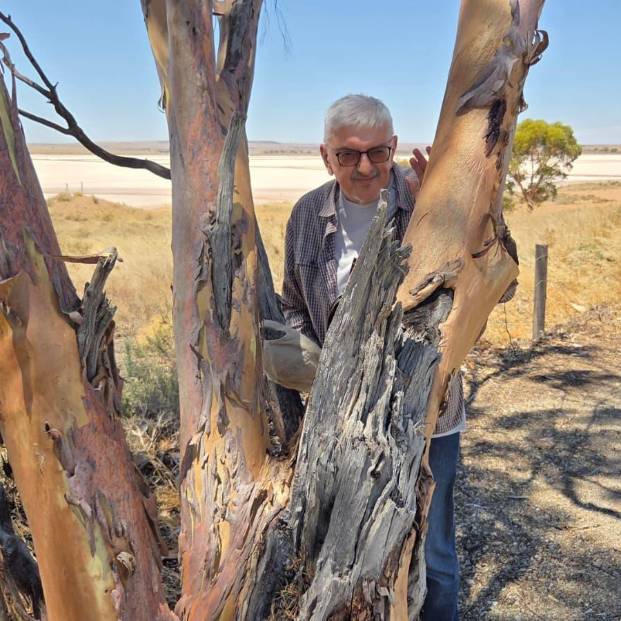 Zakamarki - Zakamarki