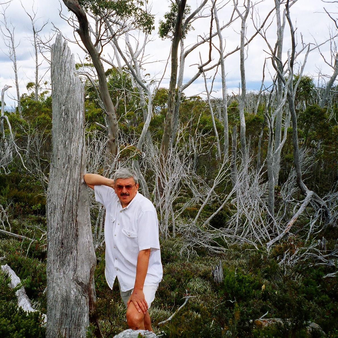 Zakamarki - Zakamarki