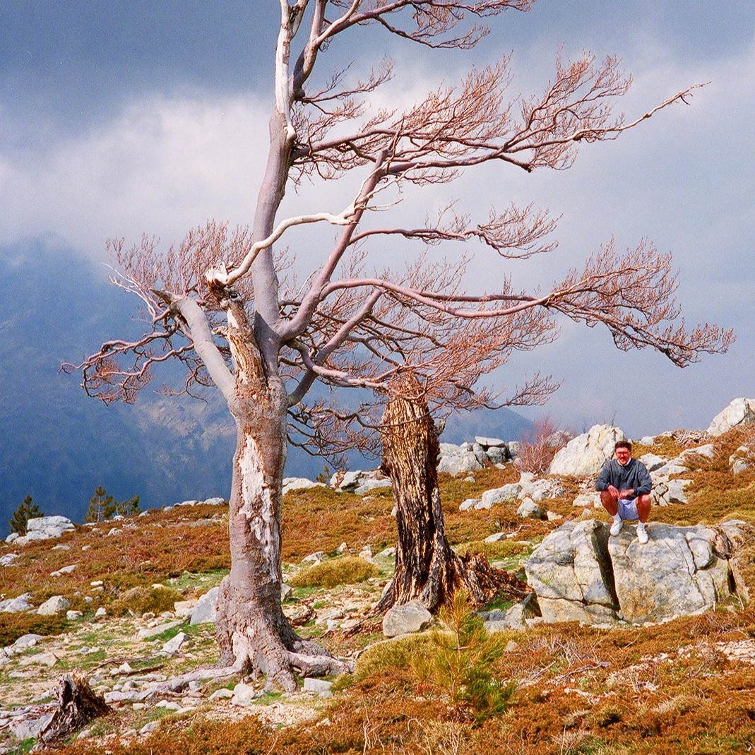 Zakamarki - Zakamarki