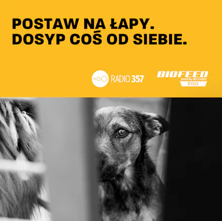 Postaw na łapy! – ostatni moment na udział w akcji 🐾