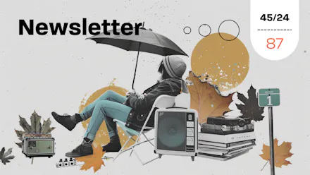 Newsletter 45/24 (87)