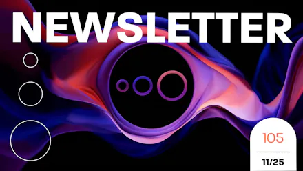Newsletter 11/25 (105)